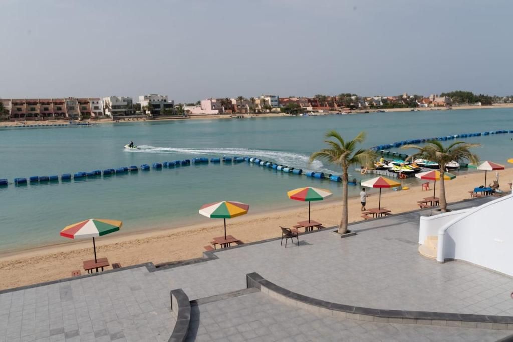 صورة الشريحة