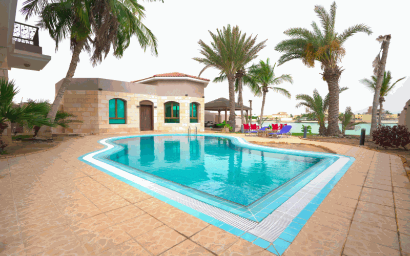 صورة الشريحة